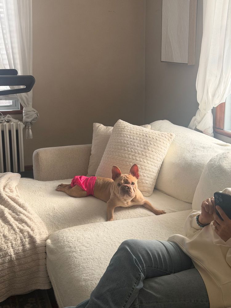Maple