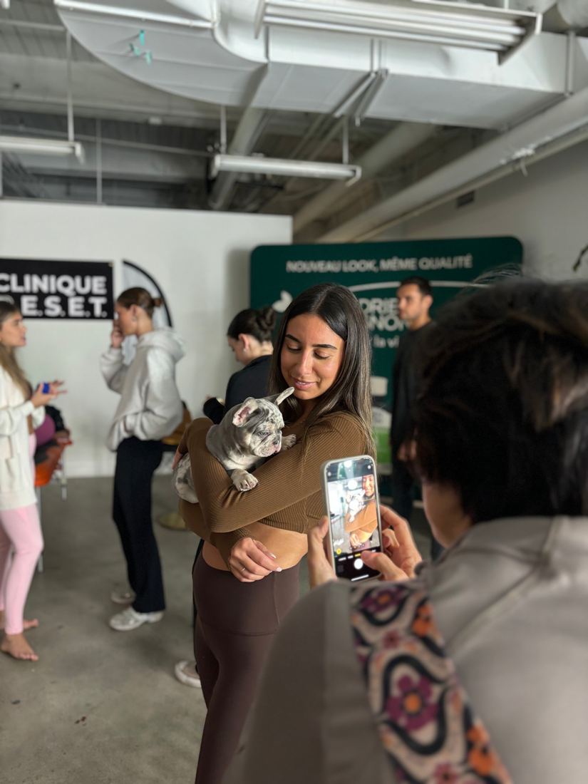 A MonRoyal Frenchies puppy event