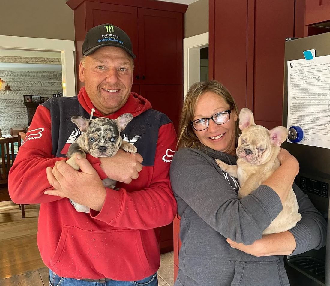 A MonRoyal Frenchies puppy