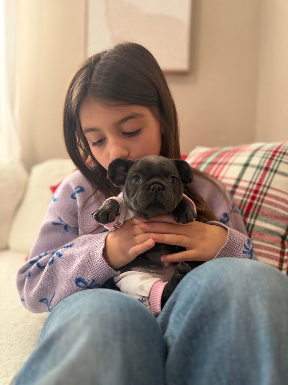 A girl kissing her new Frenchie puppy